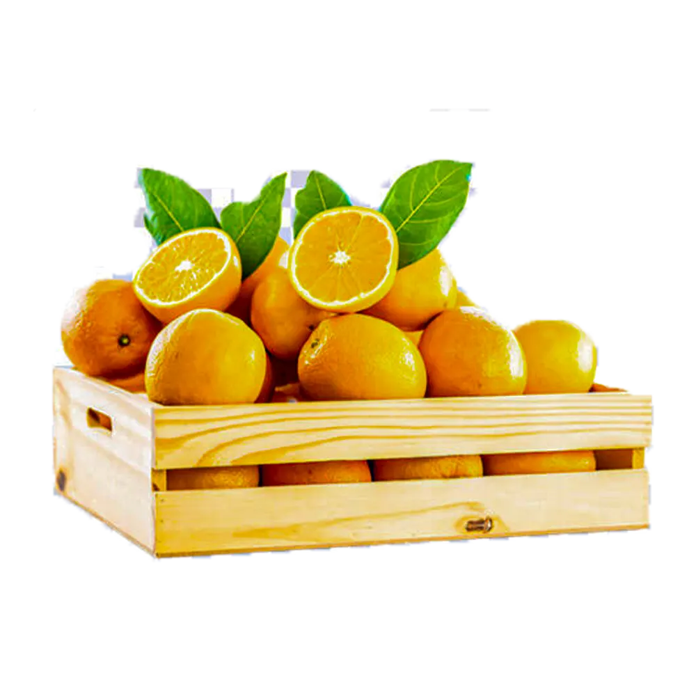 product name - categery 